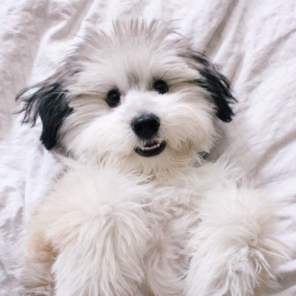 Meet your Posher, Rebecca - Picture 6 of 6